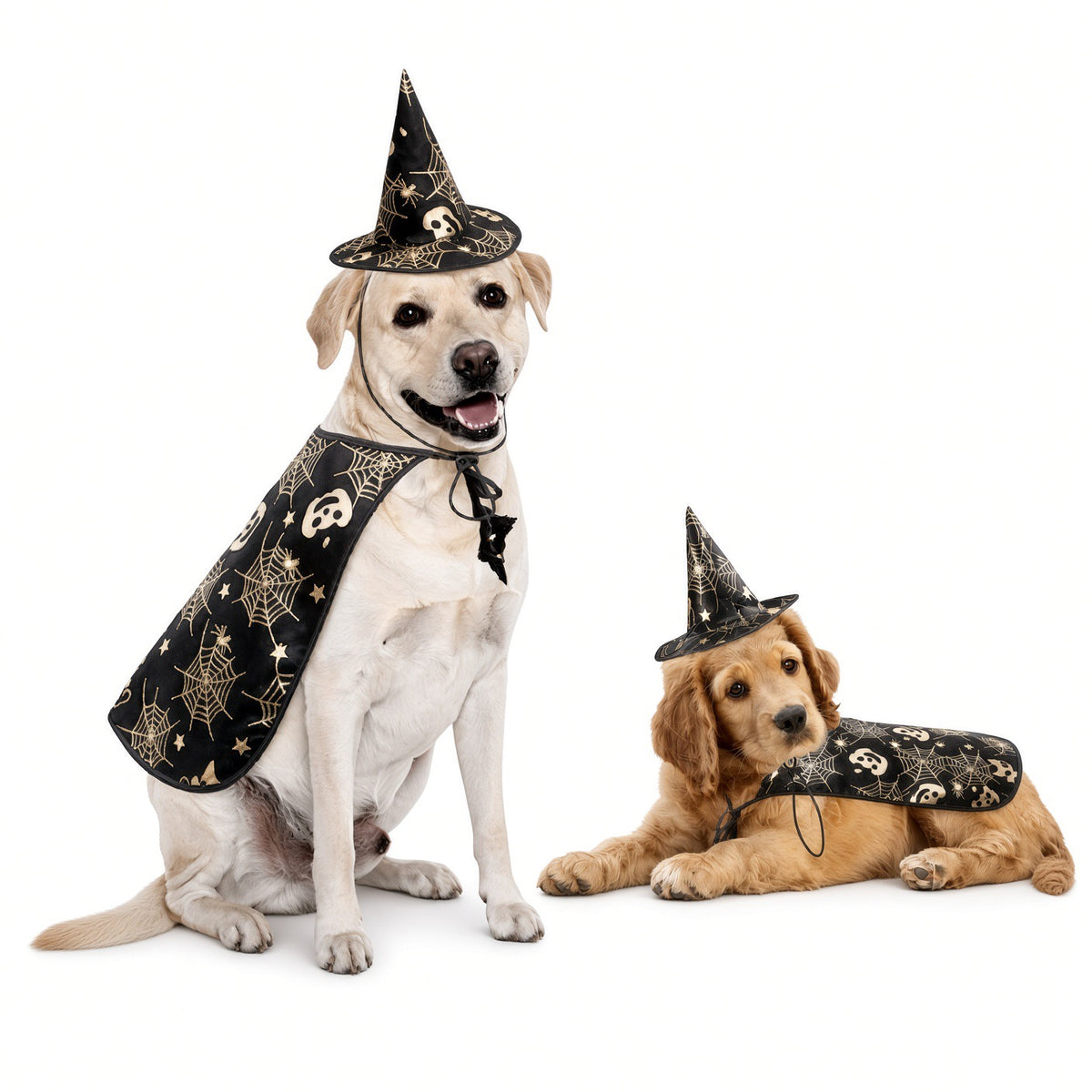 Witchy Pumpkin Pet Halloween Costumes Cape And Hat
