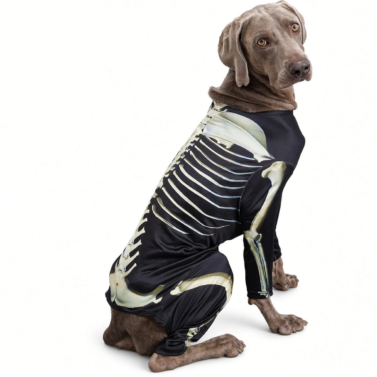 Dog Stretchy Skeleton Halloween Costume
