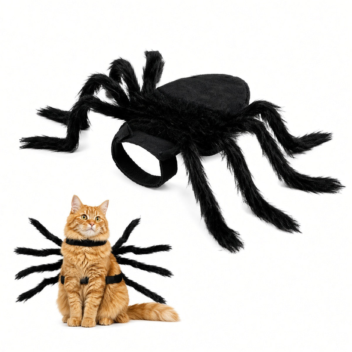 Spidey Pets Tarantula Kitty Halloween Costume