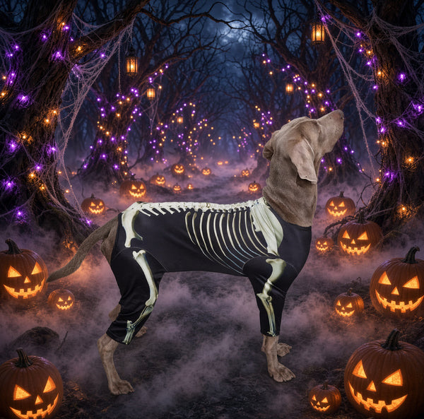 Dog Stretchy Skeleton Halloween Costume