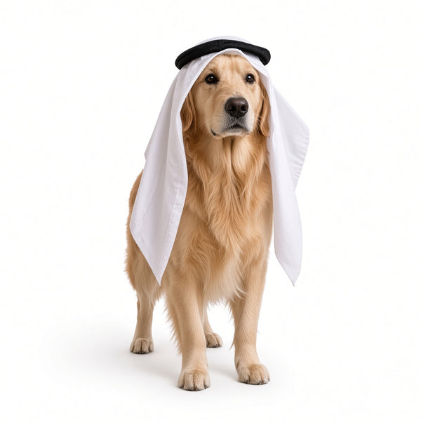 Pets Halloween Turban Costume