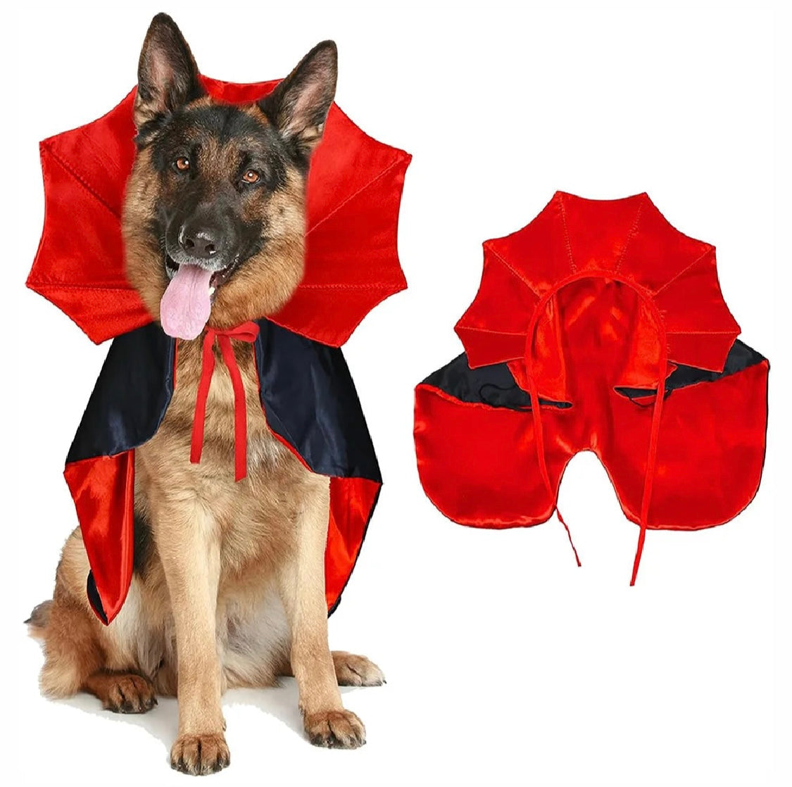 Spooky Pups Vampire Halloween Costume