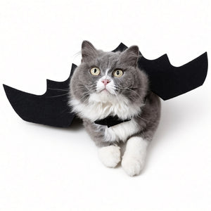 Spooky Kitty Bat Wings