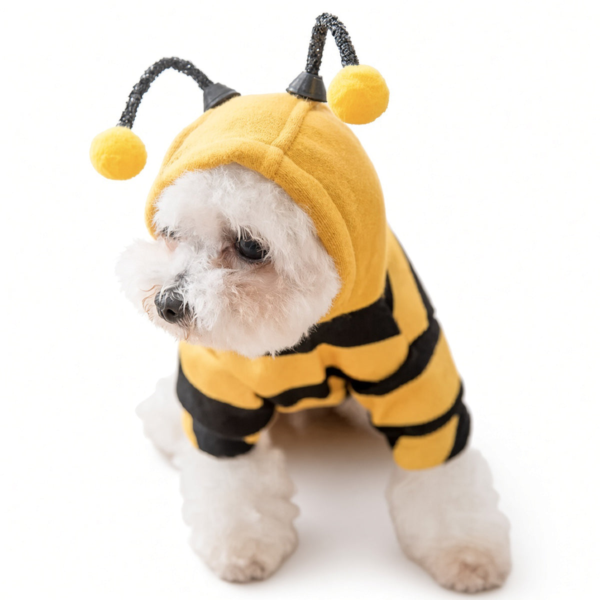 Little Paws Bumble Bee Pet Halloween Costume