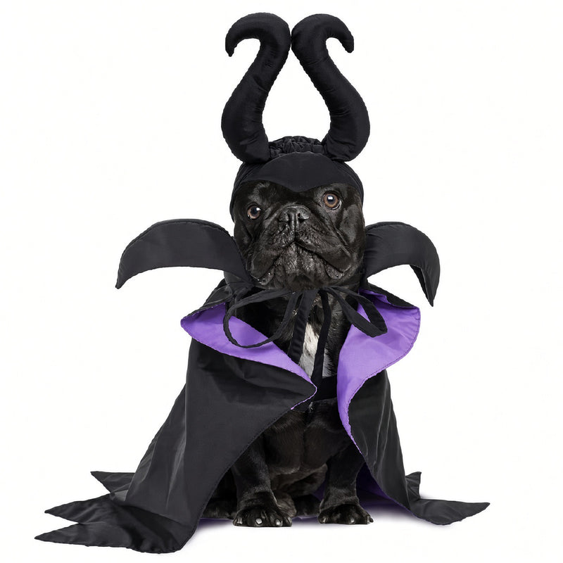 Evil Scary Spindle Witch Pets Halloween Costume