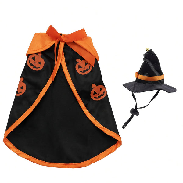 Cats Evil Pumpkin Patch Witch Halloween Costume