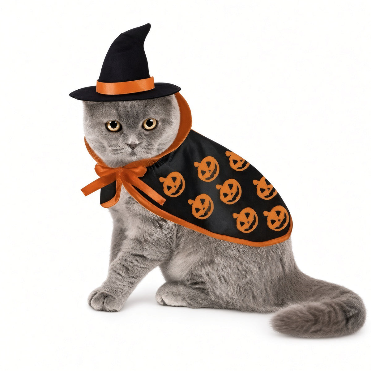 Cats Evil Pumpkin Patch Witch Halloween Costume
