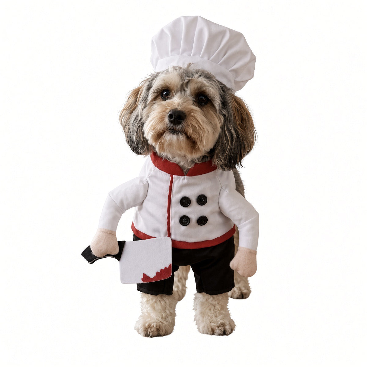 Deadly Little Chef Pet Halloween Costume