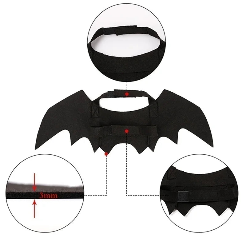 Spooky Kitty Bat Wings