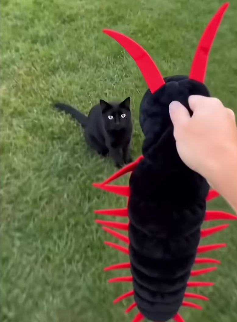 Viral Plush Tiktok Pet Spooky Centipede Halloween Costume